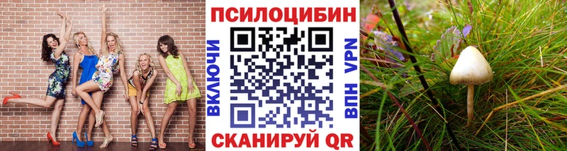 Купить  Каменка  Галлюциногенные грибы мухоморы 